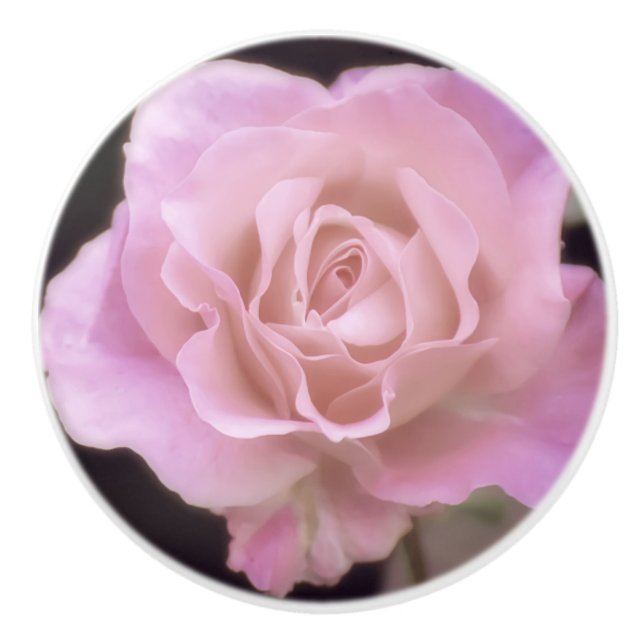 Wunderschöne Rosa Rose Keramikknauf (Vorderseite)