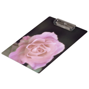 Wunderschöne Rosa Rose Klemmbrett