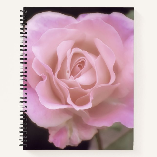 Wunderschöne Rosa Rose Notizbuch (Vorderseite)
