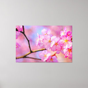 Wunderschöne rosa Sakurablüten im Frühling Leinwanddruck