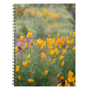 wunderschöne und duftende Wildblumen, die in Tuben Notizblock