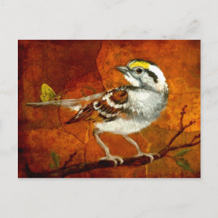 wunderschöne Vogel Postkarten 13