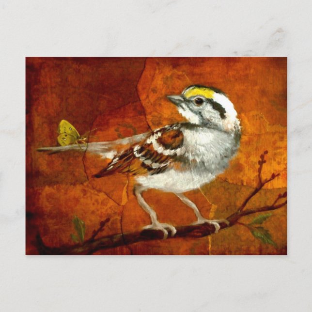wunderschöne Vogel Postkarten 13 (Vorderseite)