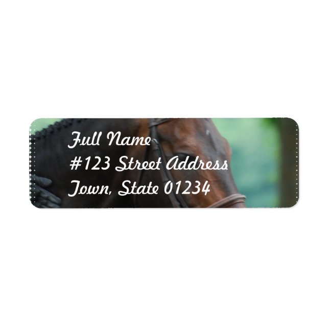 Wunderschöne Warmblut-Pferde-Postmarken (Vorne)