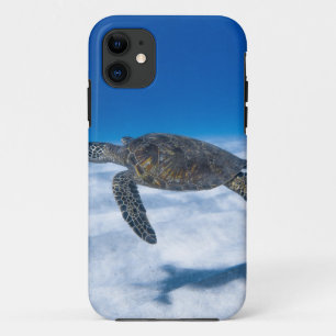 Wunderschöne Wasserschildkröte Case-Mate iPhone Hülle