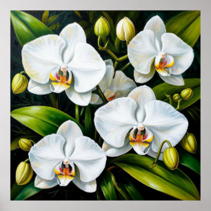 Wunderschöne Weiße Orchideen Luxus-Dekoration & Ge Poster