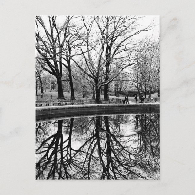 Wunderschöne Winterlandschaft im Zentralpark Postkarte (Vorderseite)