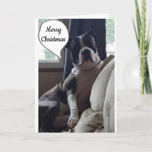 WUNDERSCHÖNE ZEIT DES JAHRES **MERRY CHRISTMAS" FEIERTAGSKARTE