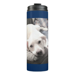 Wunderschöner, blauer weißer Hund mit Vater Thermosbecher