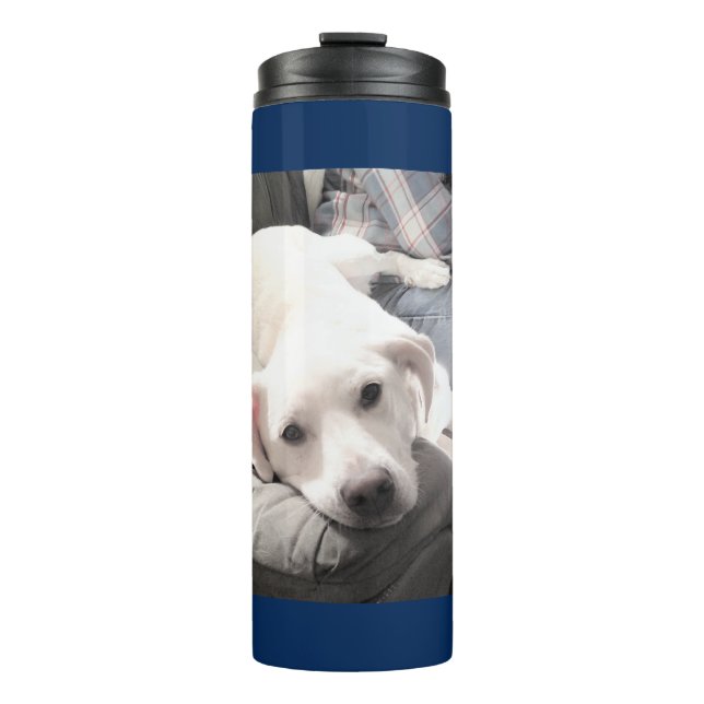 Wunderschöner, blauer weißer Hund mit Vater Thermosbecher (Vorderseite)
