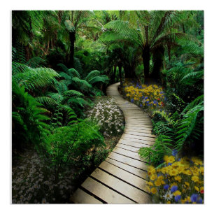 Wunderschöner Boardwalk durch einen Wald Poster