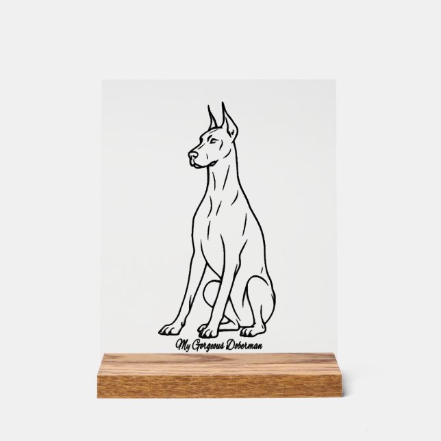Wunderschöner Dobermann Acrylschild (Vorderseite)