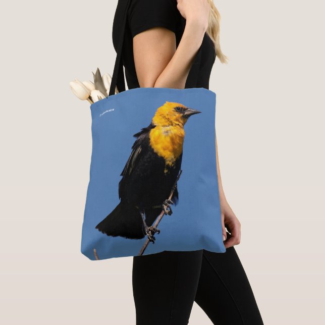 Wunderschöner, gelb gehauchter Schwarzvogel an ein Tasche (Von Nahem)