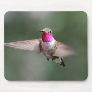 Wunderschöner Hummingbird in Flight Mouse Pad Mousepad
