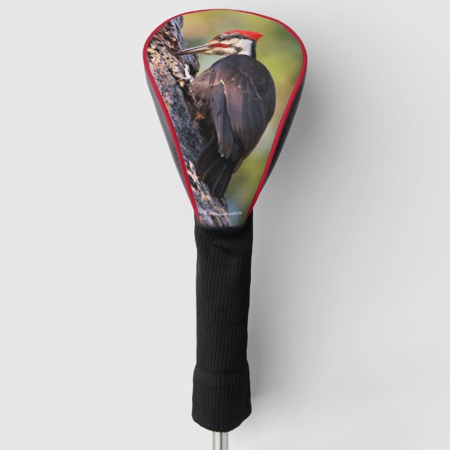 Wunderschöner Pileated Woodpecker auf dem Baum Golf Headcover (Vorderseite)