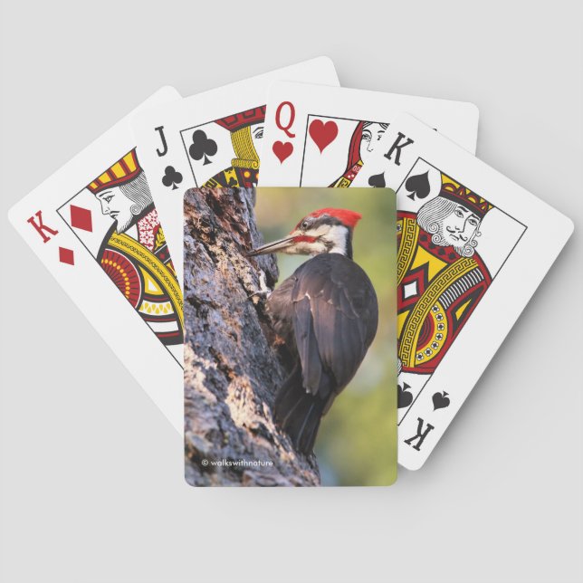 Wunderschöner Pileated Woodpecker auf dem Baum Spielkarten (Rückseite)