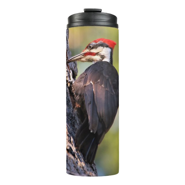 Wunderschöner Pileated Woodpecker auf dem Baum Thermosbecher (Vorderseite)