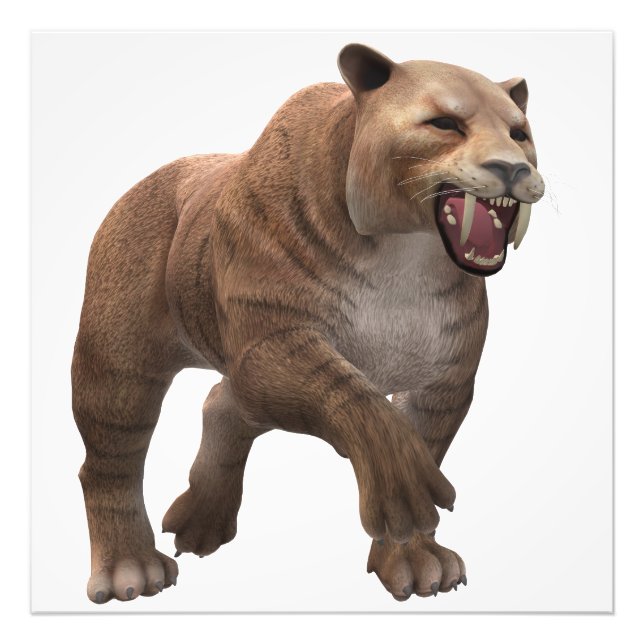 Wunderschöner Säbelzahntiger  Fotodruck (Vorne)