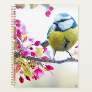 Wunderschöner Vogel-Planer Planer