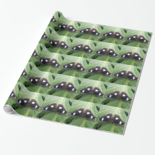 Wunderschönes blaues Gepunktetes Schmetterlingspap Geschenkpapier