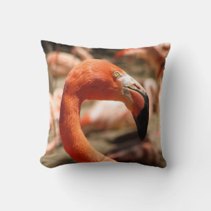 Wunderschönes Flamingo Kissen! Kissen