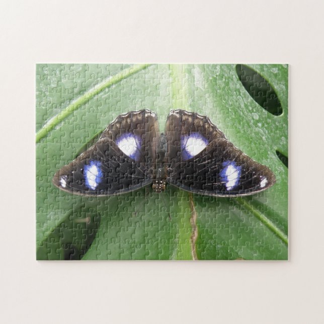 Wunderschönes Gepunktetes Schmetterlingspuzzle (Horizontal)