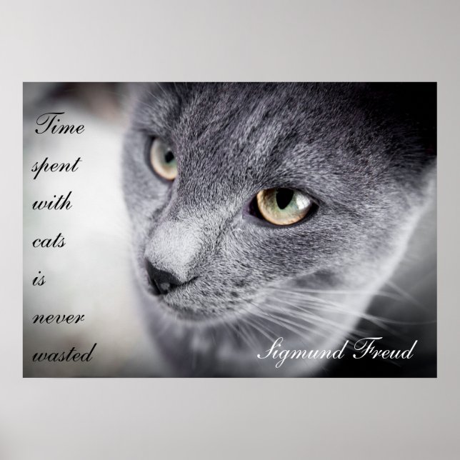 Wunderschönes Katzenquittplakat - Motivierend Poster (Vorne)
