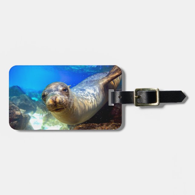 Wunderschönes Meerlilie im Paradies Galapagos Gepäckanhänger (Vorderseite horizontal)
