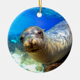 Wunderschönes Meerlilie im Paradies Galapagos Keramikornament