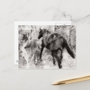 Wunderschönes Paint Horse Stute mit Fohlen Postkarte