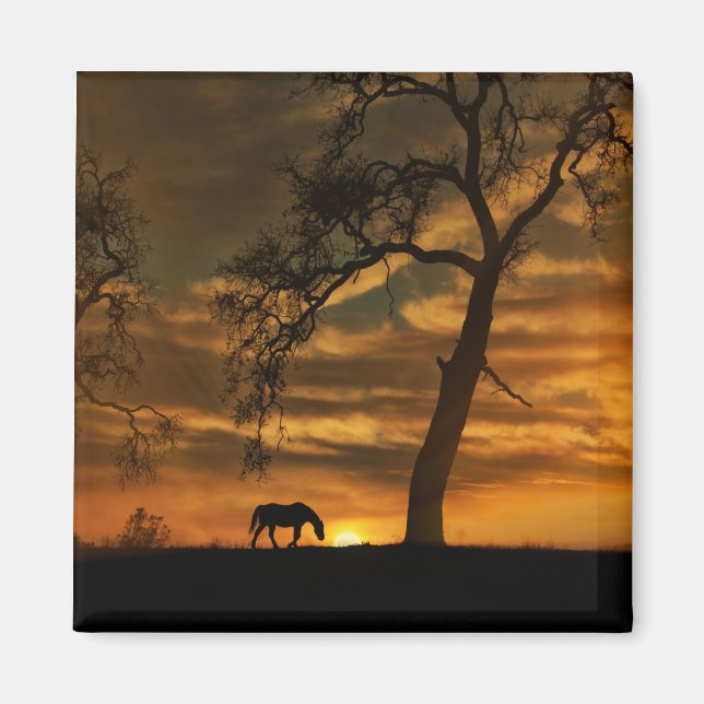 Wunderschönes Pferdemagnet Magnet (Vorne)