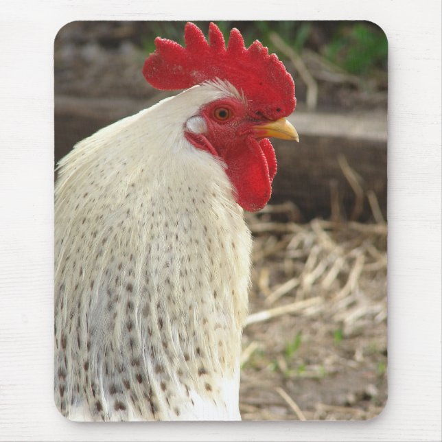 Wunderschönes Rooster Mousepad (Vorne)