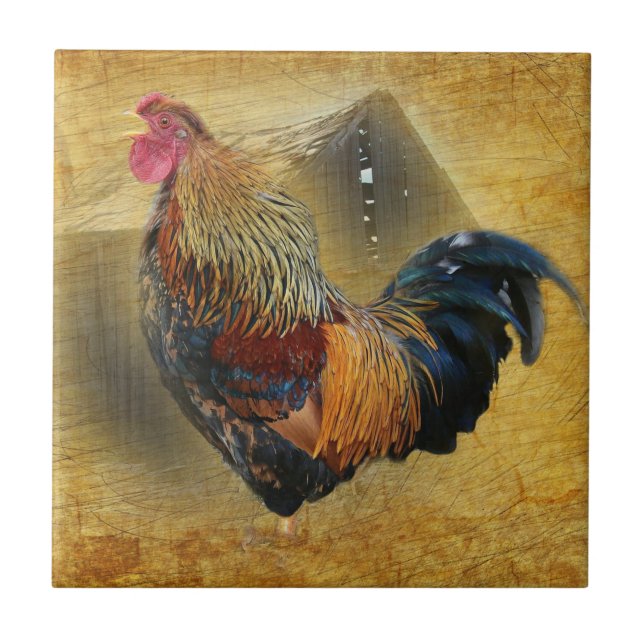 Wunderschönes Rooster und rustikales Hühnercoop Fliese (Vorderseite)