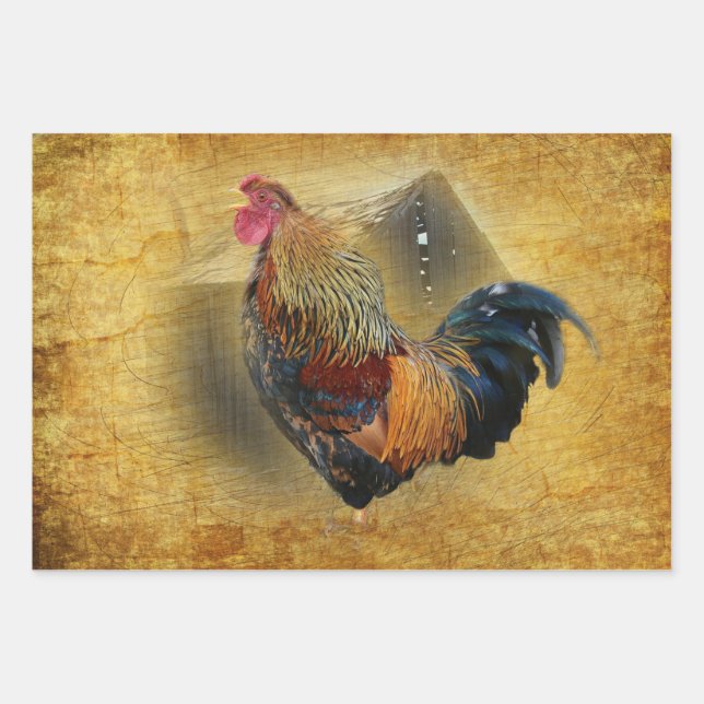 Wunderschönes Rooster und rustikales Hühnercoop Geschenkpapier Set (Vorderseite)