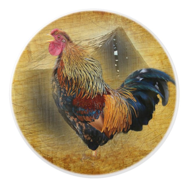 Wunderschönes Rooster und rustikales Hühnercoop Keramikknauf (Vorderseite)
