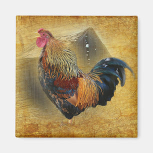 Wunderschönes Rooster und rustikales Hühnercoop Magnet