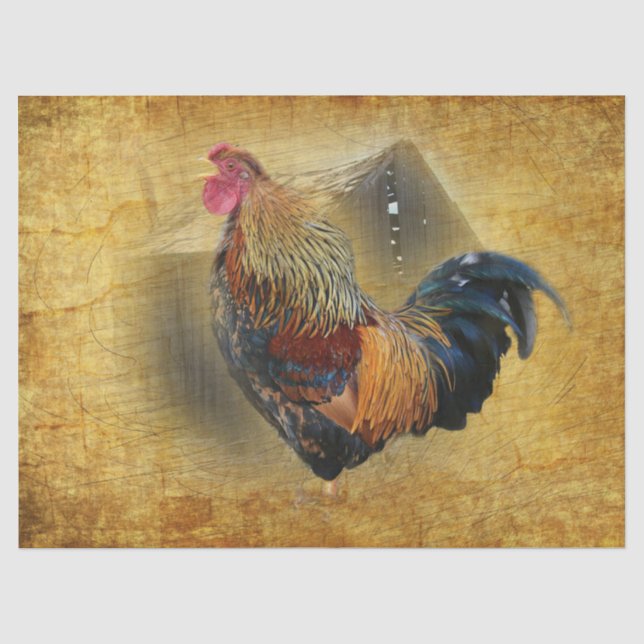 Wunderschönes Rooster und rustikales Hühnercoop Seidenpapier (Vorderseite)
