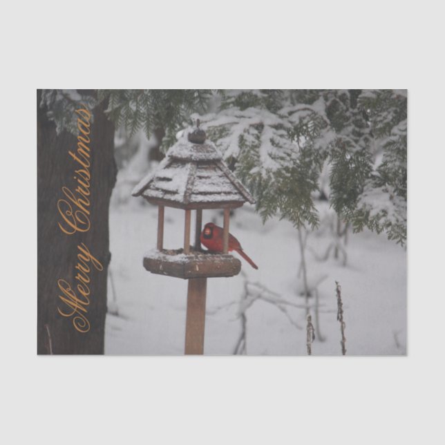 Wunderschönes Weihnachtsgebäck aus dem Roten Kardi Seidenpapier (Vorderseite)