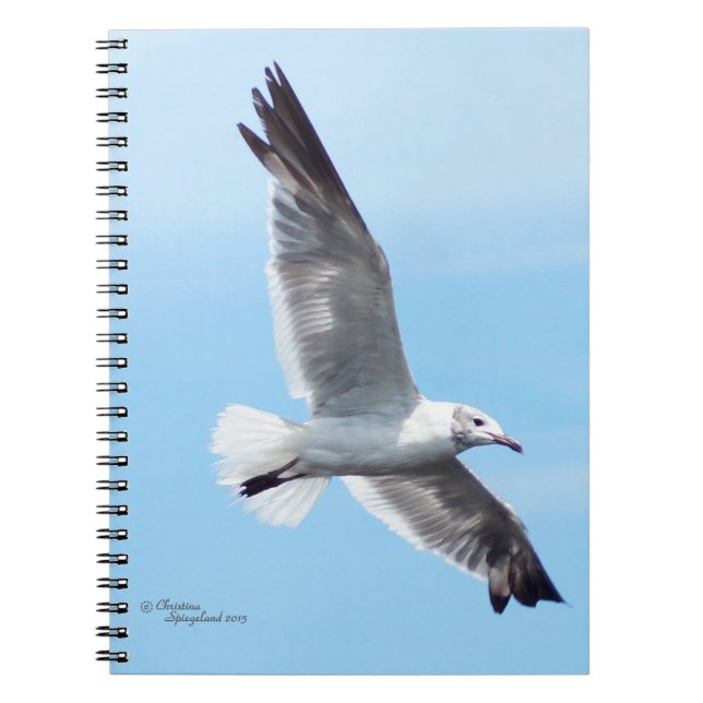 Wunderschönes White Seagull Flying Notebook Notizblock (Vorderseite)