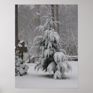 Wunderschönes Winterszene-Poster Poster