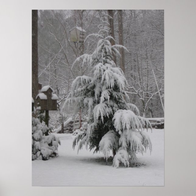 Wunderschönes Winterszene-Poster Poster (Vorne)