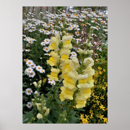 Wunderschönes Yellow Snapdragon Flower Garden Post Poster
