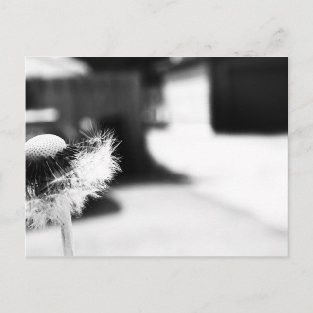 Wunsch 2 postkarte (Vorderseite)