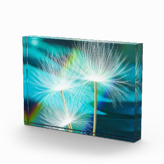 Wunsch-Blumen-Vibrantes-Foto-Block Fotoblock