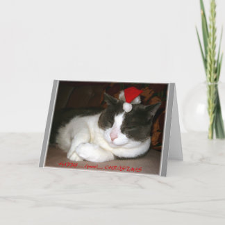 Wunsch einer Katze Weihnachts Feiertagskarte