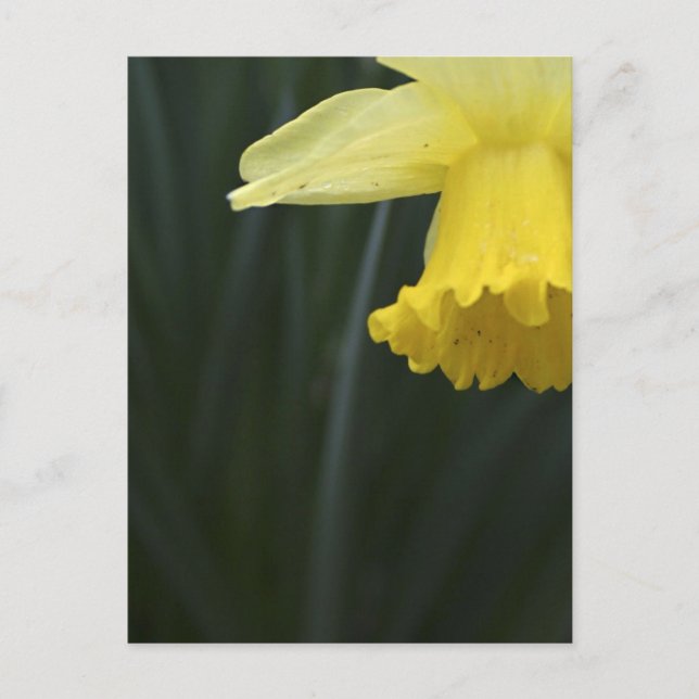 Wunsch nach Wärme Postkarte (Vorderseite)