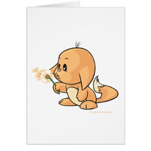 Wunsch von orange Kacheek