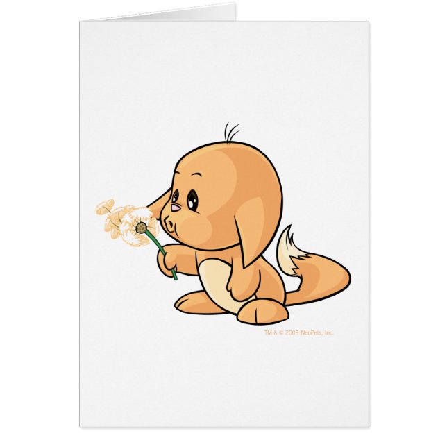 Wunsch von orange Kacheek (Vorne)