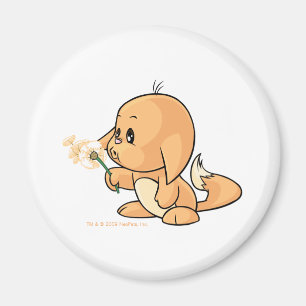 Wunsch von orange Kacheek Magnet