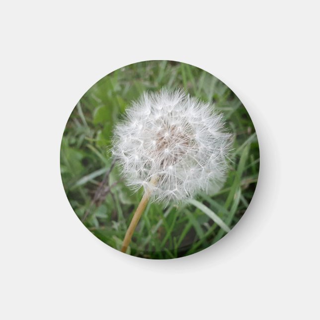 Wünsche Magnet (Vorne)